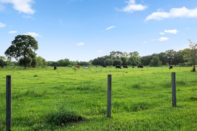 19245 Fm 442 Rd, Needville, TX 77461 - photo 6