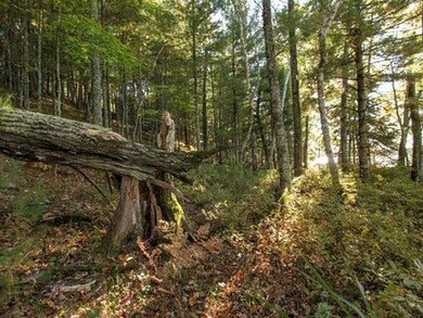 Lot 3 Other, Danbury, WI 54830 - photo 7