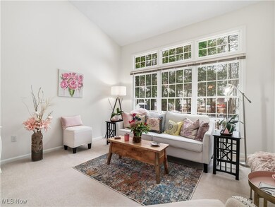 401 Bounty Way unit 213, Avon Lake, OH 44012 - photo 4