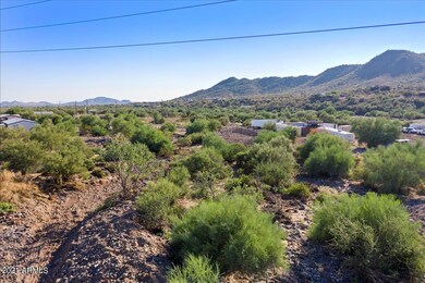 Lot View