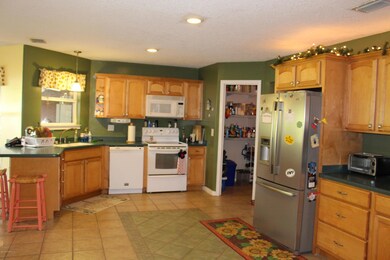 3872 Darlene Rd, Middleburg, FL 32068 - photo 6