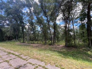 1628 E Derby Dr, Dunnellon, FL 34434 - photo 6