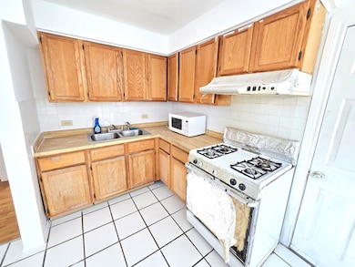 238 W 31st St unit 4E, Chicago, IL 60616 - photo 3