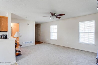 9704 Evanwood Ct, Louisville, KY 40228 - photo 6