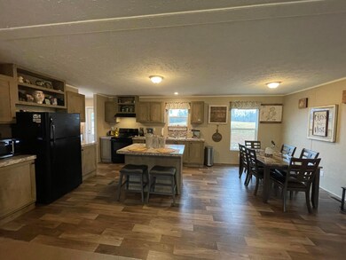 1595 Old Mountain Rd, Greeneville, TN 37743 - photo 3