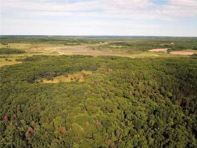DJI_0182