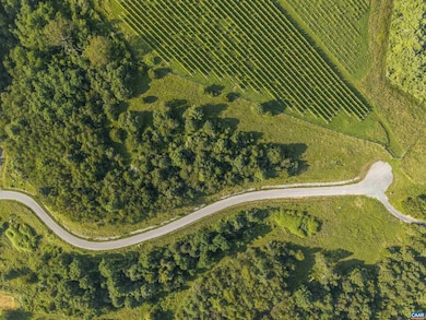 Lot 7 Twelve Ridges Way unit 7, Vesuvius, VA 24483 - photo 7