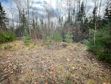 001 Happy Hollow Rd, Union, ME 04862 - photo 5