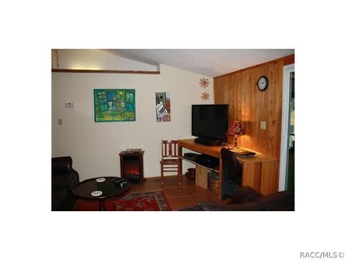 unlisted-address, Hernando, FL 34442 - photo 6