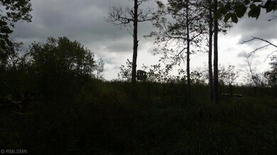 Deer stand #2