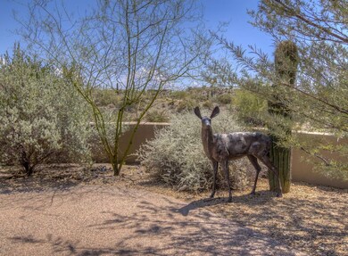 Deer is not for sale