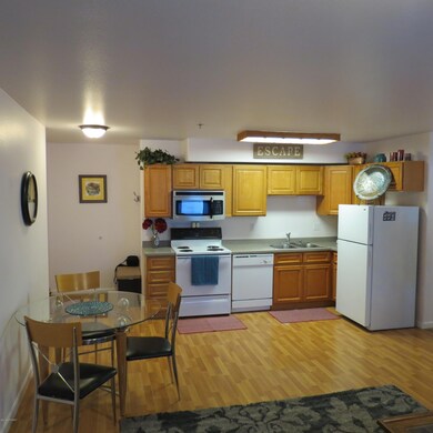 Jewel Lake Condo 022