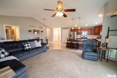 1200 N Sherman St, Lincoln, IL 62656 - photo 4