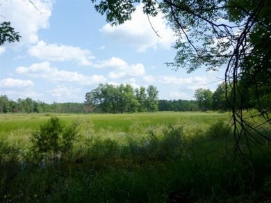 2800 W 14 Mile Rd, Lilley Township, MI 49309 - photo 4