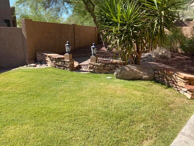 Front Yard Grass