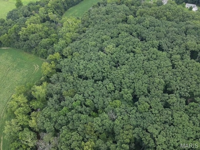 View of property location featuring a forest