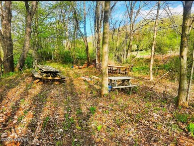 8787 Route 864 Hwy, Muncy, PA 17756 - photo 5