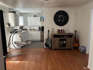 307 N Grant St, Desloge, MO 63601 - photo 3