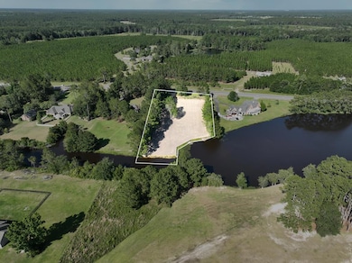 4653 Douglas Braxton Hwy, Broxton, GA 31519 - photo 3