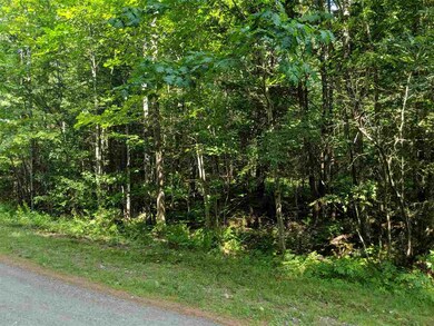 7 Eagles Nest Rd, Warren, NH 03279 - photo 3