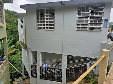 165 Calle Barcelo, Barranquitas, PR 00794 - photo 3
