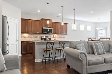 Living room with dark wood-type flooring, sink, an