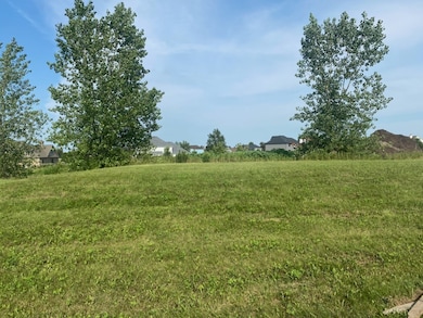 778 Wheatfield Ave, Sugar Grove, IL 60554 - photo 5