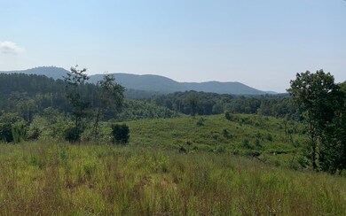 Additional View