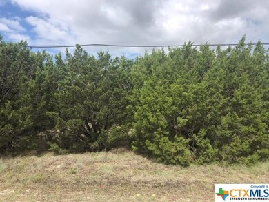 1.34 Acres Bluestem Dr, Copperas Cove, TX 76522 - photo 4