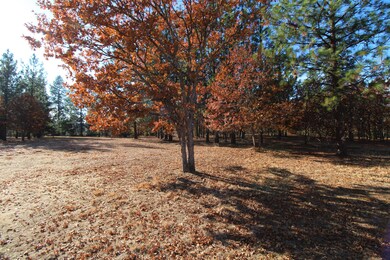 IMG_2826