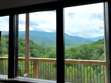 3959 DHR View From Porch 1