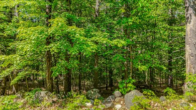3_dji_20250605110955_0007_d1