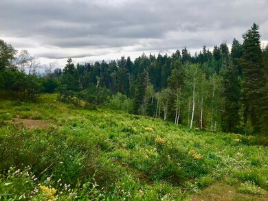 IMG_8564