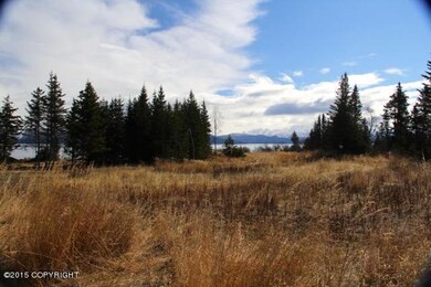 IMG_1061