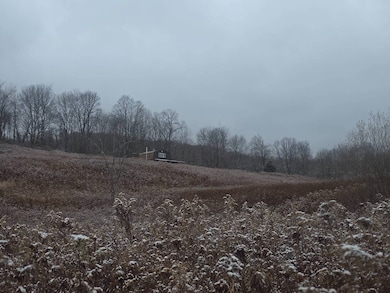 0WP Piety Hill Rd, Cincinnatus, NY 13040 - photo 6