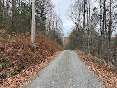 0 Old Farley Rd, Wendell, MA 01379 - photo 4