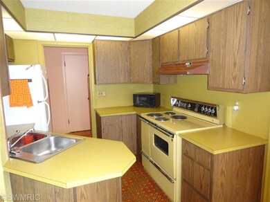 485 7th St unit VOB, Baldwin, MI 49304 - photo 4