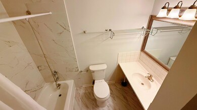 240 W 31st St unit 2W, Chicago, IL 60616 - photo 5