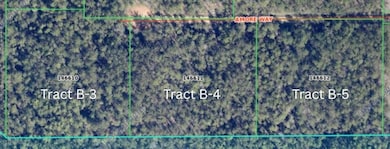 Tracts B-3,B-4,B-5 Amore Way, Covington, LA 70435 - photo 6