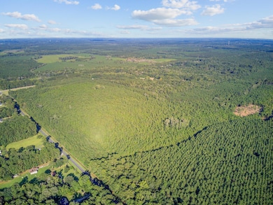 00 Summer Dr unit 4, Ridgeville, SC 29472 - photo 4