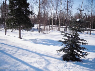 Elmore Rd seen from West (back yard)