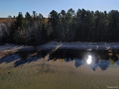 4680 S Bay Mills Point Rd, Brimley, MI 49715 - photo 3