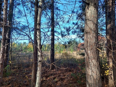 0 Burrows Lake Rd, Little Rice, WI 54487 - photo 6