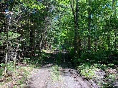 - Hollow Rd, Stewartstown, NH 03576 - photo 5