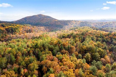 799 Whitecliff Dr, Ellijay, GA 30540 - photo 5