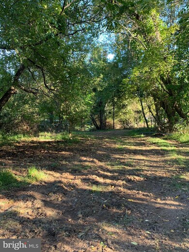 0 Miller Ave, 11, Sandy Hook, MD 21758 - photo 3