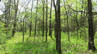Gorgeous Wooded Setting