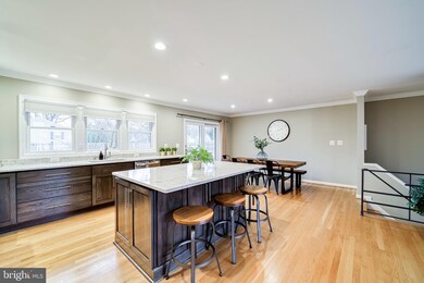 8413 Conover Place, Alexandria, VA 22308 - photo 5