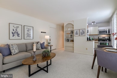 333 2nd St NE unit 206B, Washington, DC 20002 - photo 5