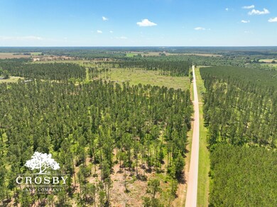 0 W Quaker Rd unit 25649767, Keysville, GA 30816 - photo 6